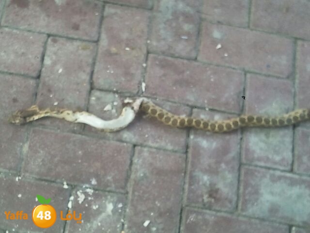 af3a lud 902 school (45).JPG